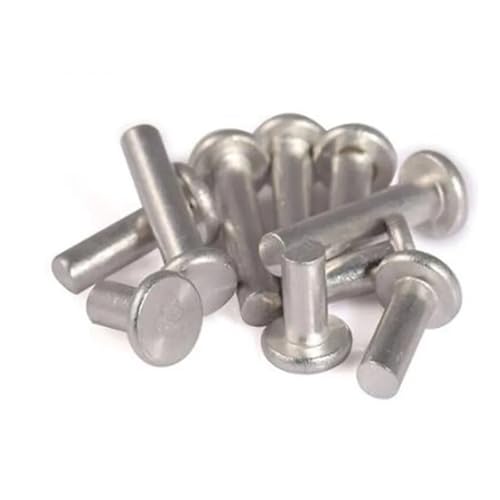 10-100Pcs M3 M4 M5 M6 Aluminium Vollnieten Knock Flachkopfniete(5mm,M6) von MAYyhem