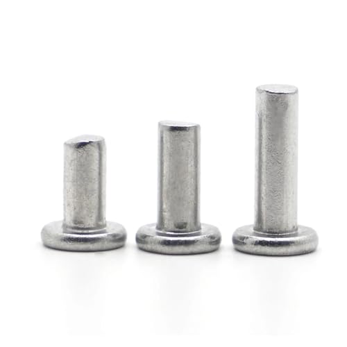 10–50 Stück Vollnieten aus Aluminiumlegierung mit flachem Kopf(16mm,M8) von MAYyhem