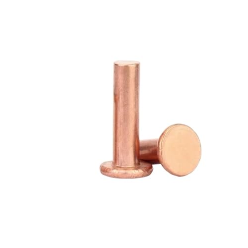 2~100 Stück Kupfer-Vollnieten, Flachkopf-Kupfernieten(M8X30) von MAYyhem