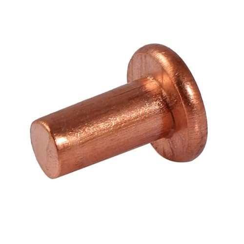 20 PCS Solide Niet Knock Flachkopf Niet Flachkopf Kupfer Niet(3mm,M3) von MAYyhem