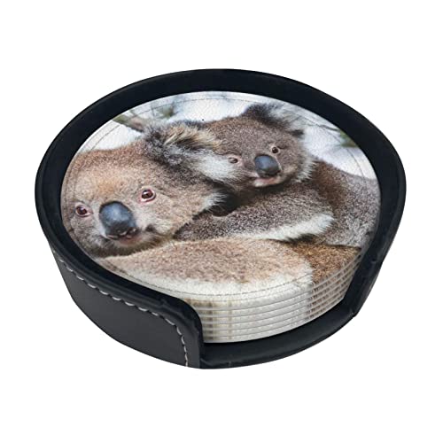 Koala Bear Leder-Untersetzer, modisch, Verbrühungsschutz, rund, 10,2 cm, Getränkeuntersetzer-Set (6-teiliges Set), mit Aufbewahrungsbox, für Tischdekoration und Schutz zu Hause von MAZBIT