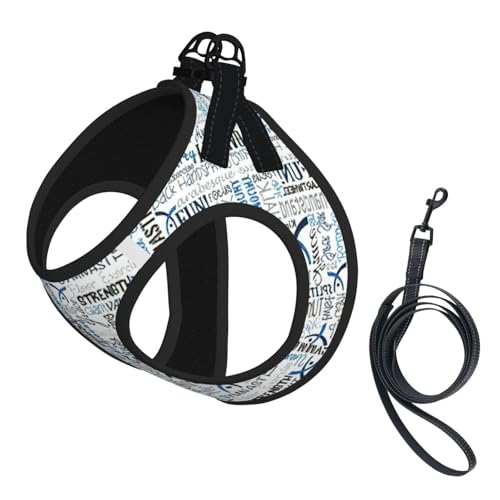 Gymnastikgeschirr-Set für Katzen und Hunde, reflektierend, verstellbar, weich, atmungsaktiv, Netzweste mit ausbruchsicherer Leine, für kleine Haustiere und Kätzchen, Welpen, Blau Gymnastikgeschirr-Set für Katzen und Hunde, reflektierend, verstellbar, weich, atmungsaktiv, Netzweste mit ausbruchsicherer Leine, für kleine Haustiere und Kätzchen, Welpen, Blau von MBCbjg