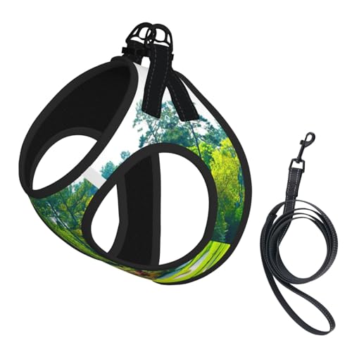 Hundegeschirr mit Golfplatz-Druck, reflektierend, verstellbar, weich, atmungsaktiv, Netzweste mit ausbruchsicherer Leine, für kleine Haustiere und Kätzchen, Welpen Hundegeschirr mit Golfplatz-Druck, reflektierend, verstellbar, weich, atmungsaktiv, Netzweste mit ausbruchsicherer Leine, für kleine Haustiere und Kätzchen, Welpen von MBCbjg