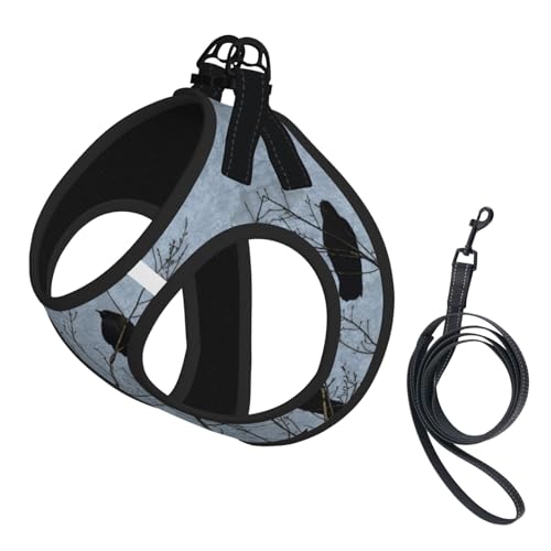 Hundegeschirr mit Krähenvögel-Aufdruck, reflektierend, verstellbar, weich, atmungsaktiv, Netzweste mit ausbruchsicherer Leine, für kleine Haustiere und Kätzchen, Welpen, Schwarz Hundegeschirr mit Krähenvögel-Aufdruck, reflektierend, verstellbar, weich, atmungsaktiv, Netzweste mit ausbruchsicherer Leine, für kleine Haustiere und Kätzchen, Welpen, Schwarz von MBCbjg