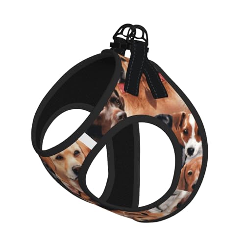 Hundegeschirr mit vielen Hunden, bedruckt, für Katzen und Hunde, reflektierend, verstellbar, weich, atmungsaktiv, Netzweste mit ausbruchsicherer Leine, für kleine Haustiere und Kätzchen, Welpen Hundegeschirr mit vielen Hunden, bedruckt, für Katzen und Hunde, reflektierend, verstellbar, weich, atmungsaktiv, Netzweste mit ausbruchsicherer Leine, für kleine Haustiere und Kätzchen, Welpen von MBCbjg