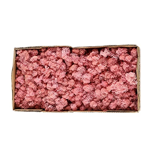 500 g Kunstpflanzen, Ewiges Leben, Moos, Garten, Heimdekoration, Wand, DIY-Blumenmaterial, Mini-Garten, Mikro-Landschaft, künstliches Moos (Pink) von MBLUE