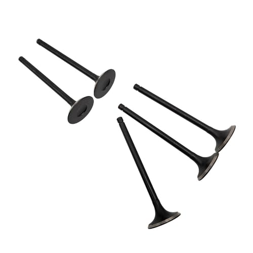 1 SET Einlassventil Auslassventil Fit for Seine 700 ATV ERSATZTEIL 14711-007000-0000 14721-007000-0000 5PCS von MBdzA