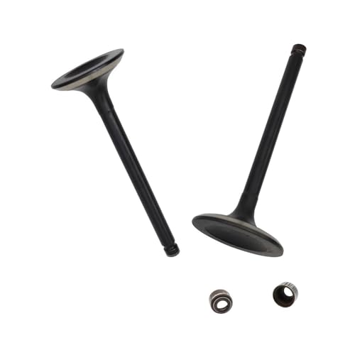1 Stück Einlass- und 1 Stück Auslassventil-Kit passend for His HS 500CC ATV UTV HS ERP-Code P002000147110000 P002000147210000 von MBdzA