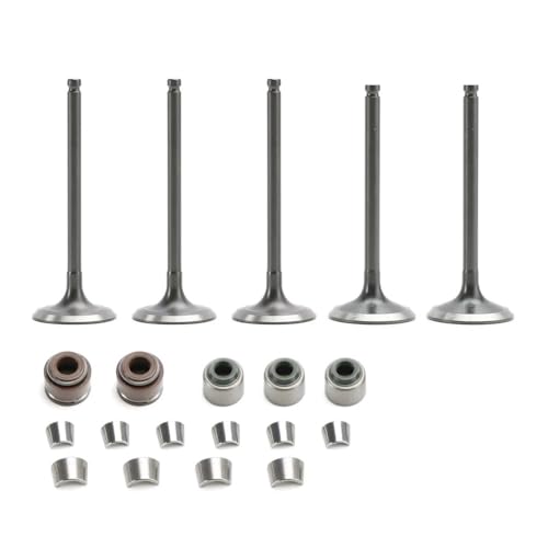 Einlass- und Auslassventil passend for Ya WR450F YZ450F YFZ450 5TA-12112-00 5TA-12121-00 von MBdzA