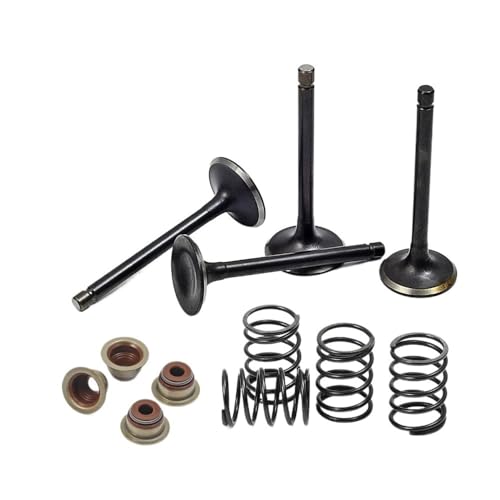 Einlassventil Auslassventil Dichtungen Feder for EZ 4 Zyklus Gas Warenkorb Fuji 295cc 350cc 1996-2008 72507-G01 72508-G01 von MBdzA