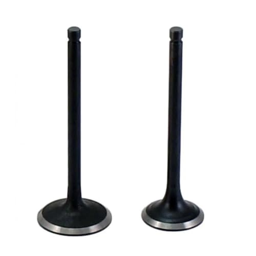 Linhai Ya 250 260 300 520 22601 & 22602 Fit for Linhai motorcyle Motor teil Einlass/Auslass Ventil von MBdzA