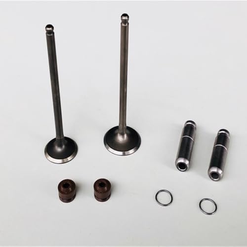 Motorrad Einlassventil und Auslassventil Passend for Hon CBF125 CBF 125 CB125F XR 125 L XR125L GLH 125 E STORM GLH125 125cc(Full set) von MBdzA