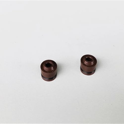 Motorrad Einlassventil und Auslassventil Passend for Hon CBF125 CBF 125 CB125F XR 125 L XR125L GLH 125 E STORM GLH125 125cc(Oil seal) von MBdzA