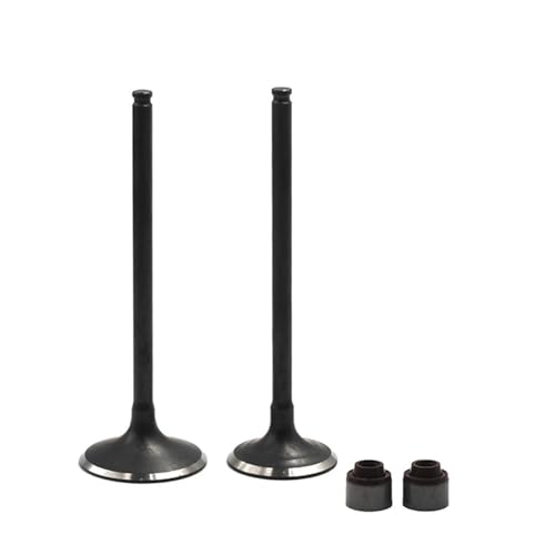 Motorrad Intake Exhaust Valve Stem Kit Fit for Kaw KLX250 KLX300 BR250 Z250SL BX250 Nin 250SL KLX BR BX Z250 Z 250 300 SL(1 Pair) von MBdzA