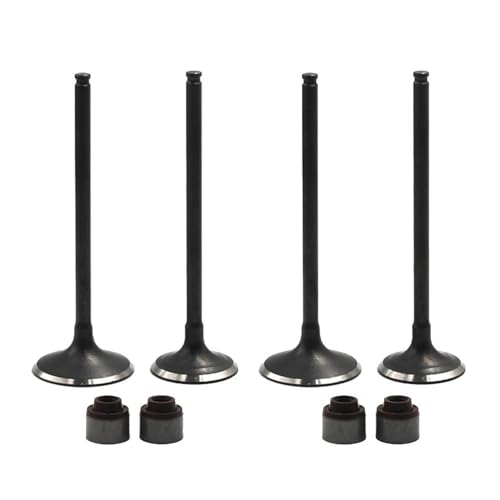 Motorrad Intake Exhaust Valve Stem Kit Fit for Kaw KLX250 KLX300 BR250 Z250SL BX250 Nin 250SL KLX BR BX Z250 Z 250 300 SL(2 Pairs) von MBdzA