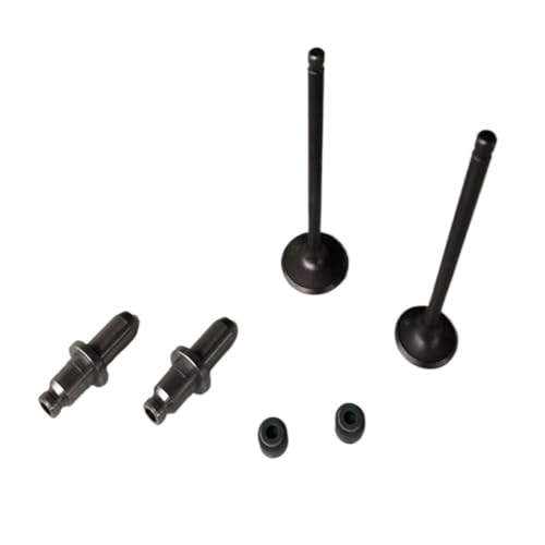 Motorrad Motor Ventil Einlass Auspuff Stem Guide Kanal Fit for Hon WY125 CB125 CB 125 WY 125 Motor Ersatzteile auspuff tor(Group) von MBdzA