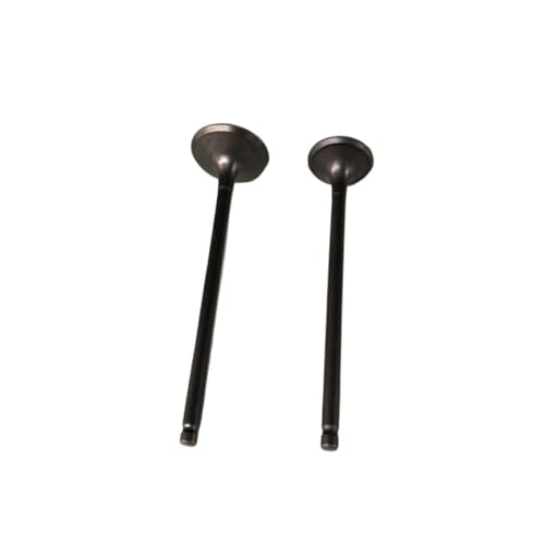 Motorrad Motor Ventil Einlass Auspuff Stem Guide Kanal Fit for Hon WY125 CB125 CB 125 WY 125 Motor Ersatzteile auspuff tor(Valve) von MBdzA