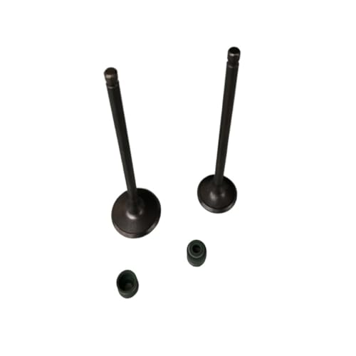 Motorrad Motor Ventil Einlass Auspuff Stem Guide Kanal Fit for Hon WY125 CB125 CB 125 WY 125 Motor Ersatzteile auspuff tor(Valve and oil seal) von MBdzA
