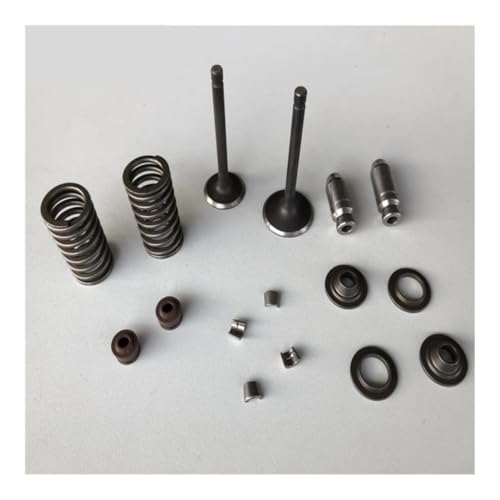 Motorrad-Motorventil Einlass-/Auslassventil, Ersatzteile, Ventilrohr, passend for Ya YBR125 YBR 125 125cc XTZ125 XTZ XT YB125(Spring (outer)) von MBdzA