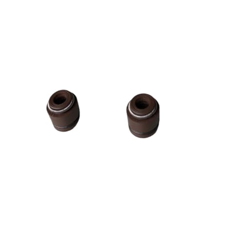 Motorrad-Motorventil Einlass-/Auslassventil passend for Suz AN125 UA125 HS125T AN UA 125cc Scooter Motor Ersatzteile(Oil seal) von MBdzA