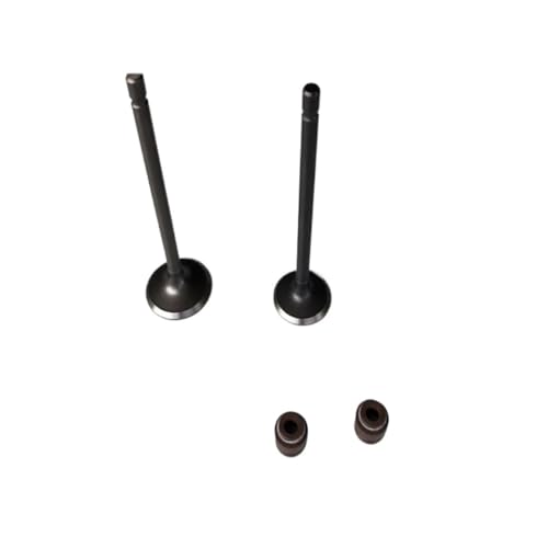 Motorrad-Motorventil Einlass-/Auslassventil passend for Suz AN125 UA125 HS125T AN UA 125cc Scooter Motor Ersatzteile(Valve and oil seal) von MBdzA