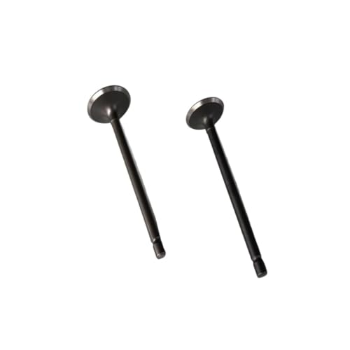 Motorrad-Motorventil Einlass-/Auslassventil passend for Suz AN125 UA125 HS125T AN UA 125cc Scooter Motor Ersatzteile(Valve stem) von MBdzA