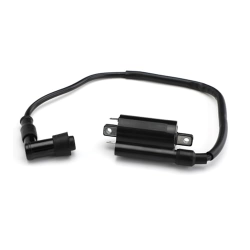 Passend for Jo Dee 2653 Gas 260 265 285 320 345 425 445 455 F725 Performance Racing Zündspule AM120732 Motorteile Passend for Jo Dee 2653 Gas 260 265 285 320 345 425 445 455 F725 Performance Racing Zündspule AM120732 Motorteile von MBdzA