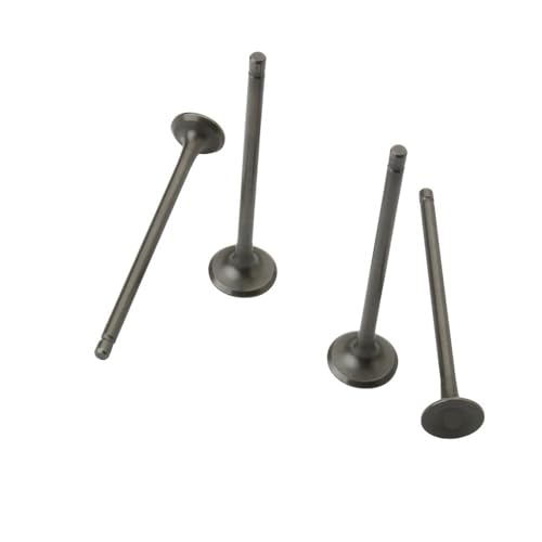 Roller 4PC Einlass-Und Auslassventile Fit for Peu Geop 250 Sate 250cc 872999 873009 4V 4T von MBdzA