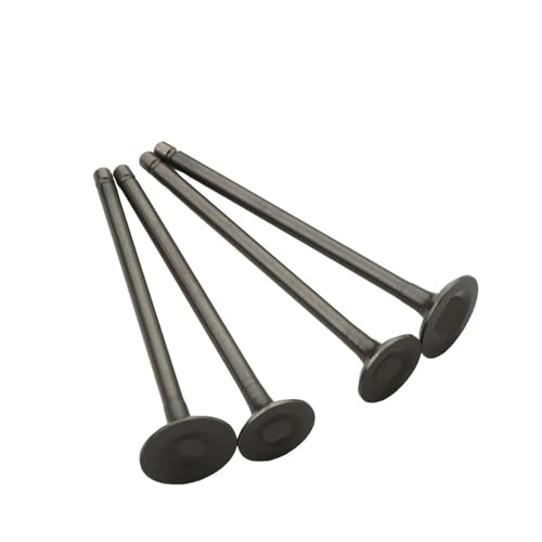 Roller 4PC Einlass-Und Auslassventile Fit for Ves GT200 GTS250 GTV250 GT60 GTS300 GTV300 872999 873009 4V 4T von MBdzA