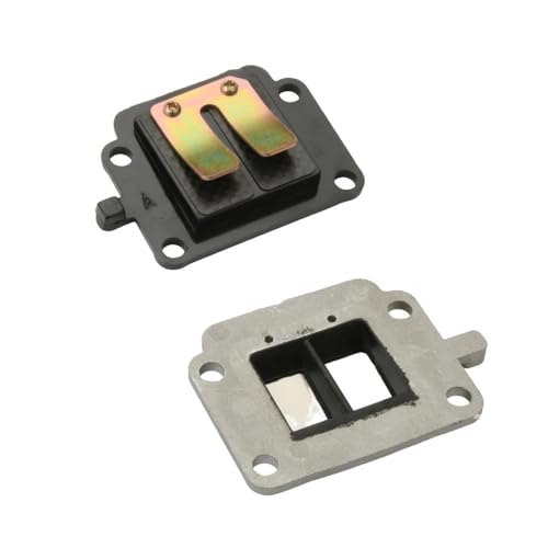 Scooter BWS50 Zum50 Racing Ansaugventil passend for Ya Bws for CW50 EW50N 50cc Mina(Standard) von MBdzA