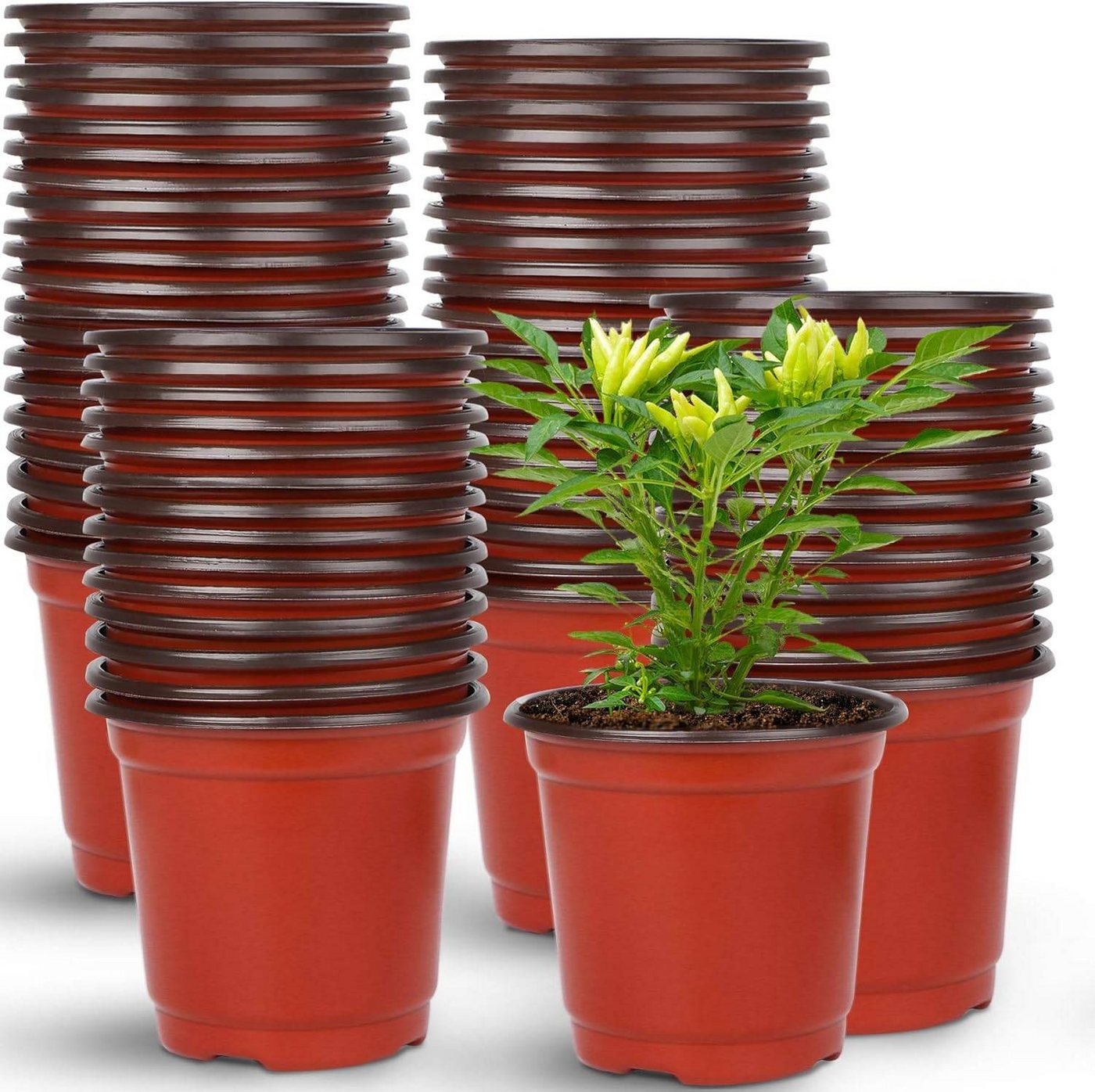 MC Star Pflanzkübel 150 Stück 10cm Pflanzentöpfe Anzuchttöpfe Plastik Blumentopf (150 St) von MC Star