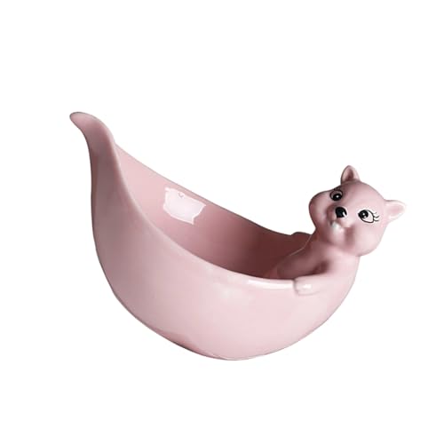 Keramik Fleischy Pflanzenbehälter Pflanzer Eichhörnchen Formfensterbox Container Geschenk Für Mutter Schlafzimmer Schreibtisch Dekoration Wasser Pflanzer Für Innenräume von MCAOAL