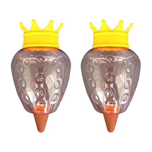 MCAOAL 2pcs Herzpflanze Globes Globes Für Innenpflanzenblumen Freien Innen/Außen/Outdoor Achterwässerungslösung MCAOAL 2pcs Herzpflanze Globes Globes Für Innenpflanzenblumen Freien Innen/Außen/Outdoor Achterwässerungslösung von MCAOAL