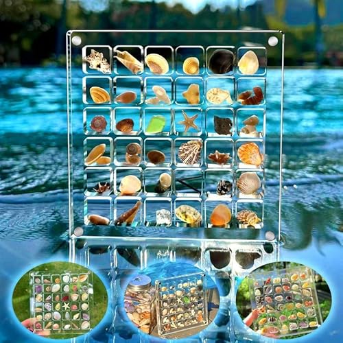 Magnetische Muschel-Displaybox, 36 Fächer, Acryl, Muschel-Aufbewahrungsbox, dekorative Muschel-Seestern-Schmuck, kleine Bastel-Organizer für Perlen, Schmuck von MCHERRY