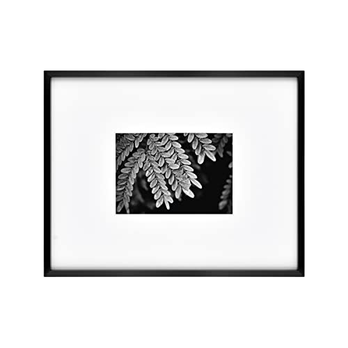MCS Foundry Gallery Wall Frame Galerie-Wandrahmen, Schwarz, 11 x 14 in matted to 5 x 7 in von MCS