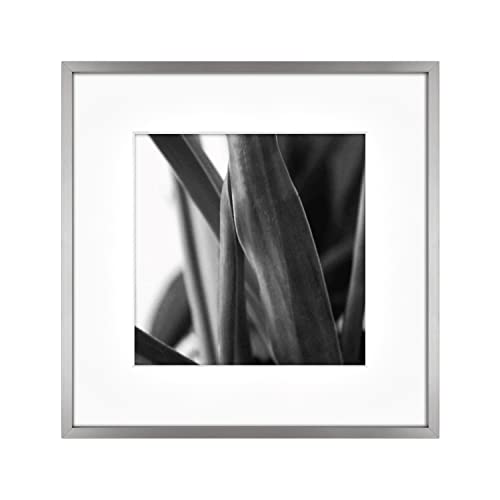 MCS Foundry Gallery Wandrahmen Galeriewandrahmen, Dunkles Silber, 12 x 12 in matted to 8 x 8 in von MCS