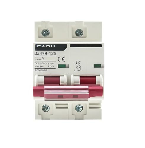 DZ47B-125 DC 12V 24V 48V Leistungsschalter Batterie Autoschutz DC Plus- und Minuspolschutzschalter Isolator(2P,100A) von MCSEROST