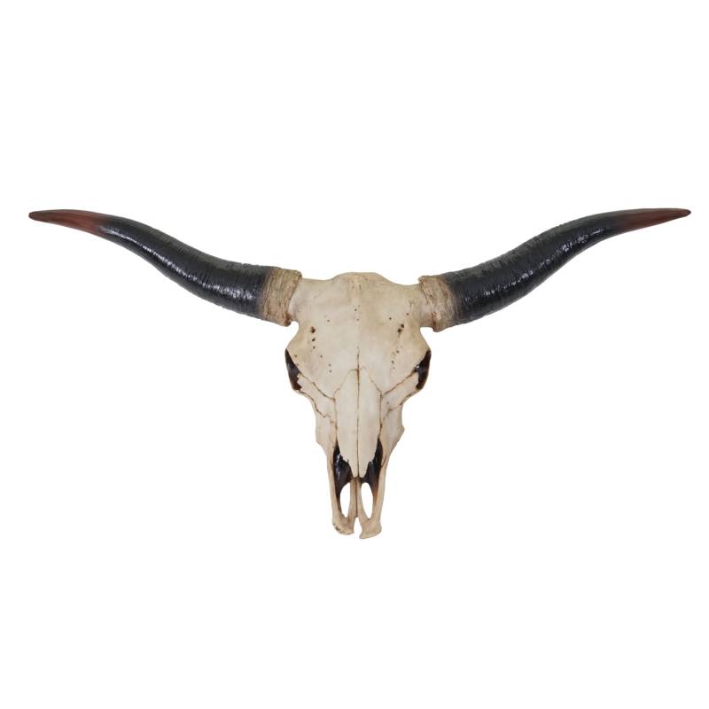 MCW Deko Schädel A14 Longhorn von MCW