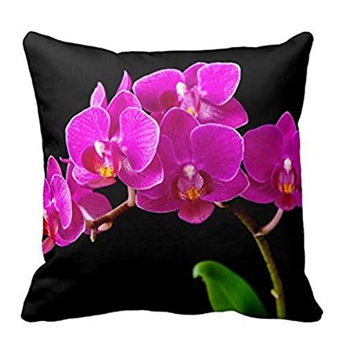 MDEIMAT Hot Pink Dendrobium Orchid Blume Orchideen Vorlage Home Dekorative Kissen Abdeckung Quadratisch werfen Fall Zippered Kissenbezug 18x18 Zoll von MDEIMAT