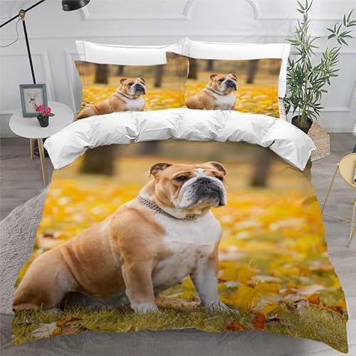 MDKLXIDF Bettwäsche 220x240 Bulldogge 3 Teilig Wendemotiv Bettbezüge Bettwäsche-Sets Für Doppelbett, Hypoallergen Mikrofaser Bettbezug mit Reißverschluss und 2 Kissenbezug 80x80 cm MDKLXIDF Bettwäsche 220x240 Bulldogge 3 Teilig Wendemotiv Bettbezüge Bettwäsche-Sets Für Doppelbett, Hypoallergen Mikrofaser Bettbezug mit Reißverschluss und 2 Kissenbezug 80x80 cm von MDKLXIDF