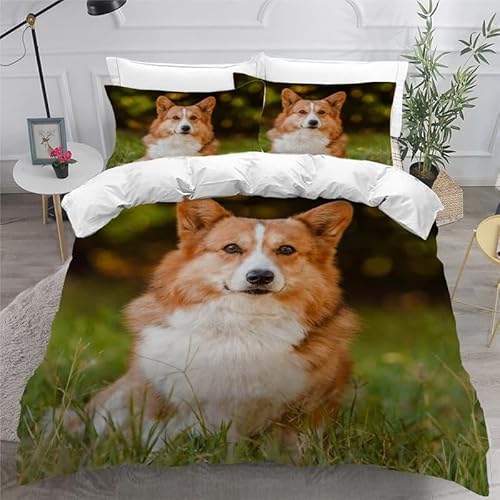 MDKLXIDF Bettwäsche 220x240 Hund 3 Teilig Wendemotiv Bettbezüge Bettwäsche-Sets Für Doppelbett, Hypoallergen Mikrofaser Bettbezug mit Reißverschluss und 2 Kissenbezug 80x80 cm MDKLXIDF Bettwäsche 220x240 Hund 3 Teilig Wendemotiv Bettbezüge Bettwäsche-Sets Für Doppelbett, Hypoallergen Mikrofaser Bettbezug mit Reißverschluss und 2 Kissenbezug 80x80 cm von MDKLXIDF
