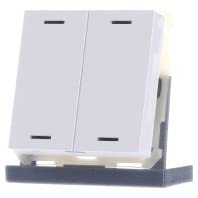 MDT technologies Taster Light 63 2-fach BE-TAL63T2.01 von MDT