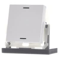 EIB, KNX, Push Button Lite 55, 1-adrig, RGBW, Neutral, Weißes Finish glänzend von MDT