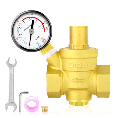MEANLIN MEASURE 3/4 Zoll Messing Wasserdruckregelventil, Druckreduzierventil, DN20, mit 0-16BAR/0-220PSI Manometer von MEANLIN MEASURE