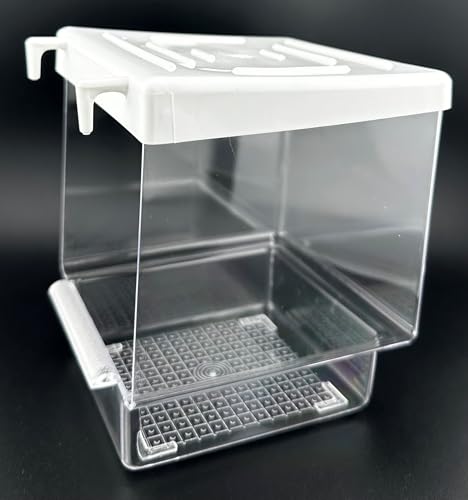 Mecanor Equator Badewanne für Vögel, Weiß von MECANHOR
