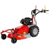 Mähwerk RF630 MECCANICA BENASSI BRIGGS&STRATTON 950E Benzinmotor 5,6 PS von MECCANICA BENASSI