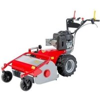 Mulcher MECCANICA BENASSI TR800 Benzinmotor B&S Arbeitsbreite 75cm von MECCANICA BENASSI