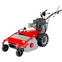 Mulcher MECCANICA BENASSI TR800 Hydro-Motor B&S Arbeitsbreite 75 cm von MECCANICA BENASSI