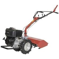 Motorgrubber MF225 MECCANICA BENASSI Honda GP200 Benzinmotor 5,5 PS 4,1 KW von MECCANICA BENASSI