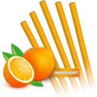 Abflussreiniger-Sticks – halten Ihre Abflüsse frei von Ablagerungen und üblen Gerüchen von MEDIA SHOP